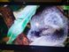 Телевізор LG модель 32LV3400  TV-0001 фото 4